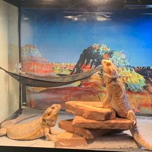 Meet your Posher, Efrain